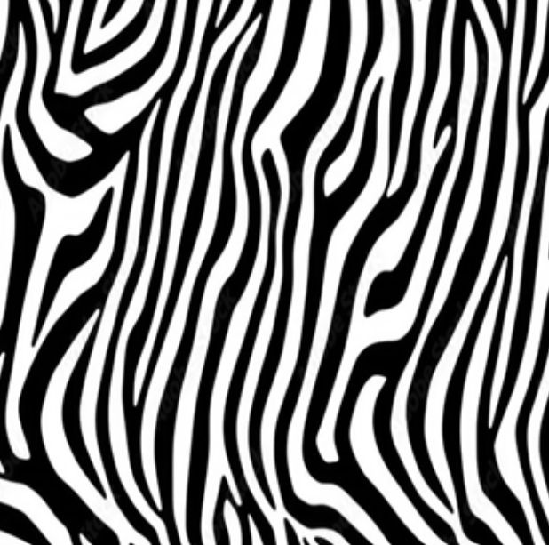 Zebra Adjustable Bikini Tie Sides